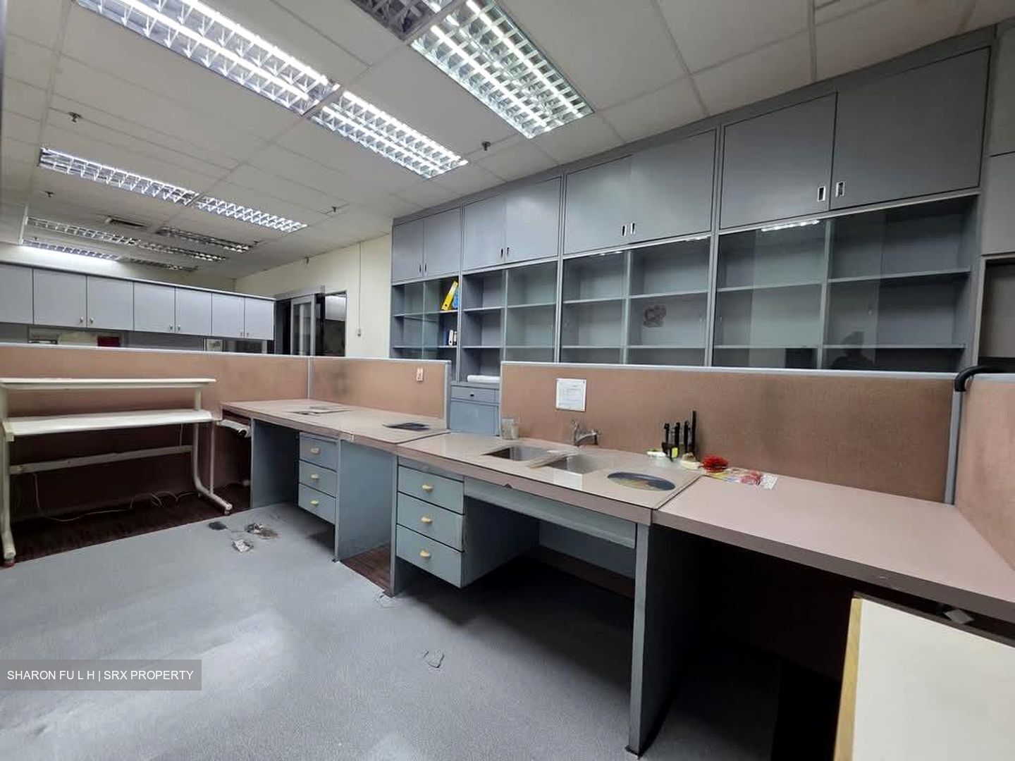 Jalan Besar Plaza (D8), Retail #544147411